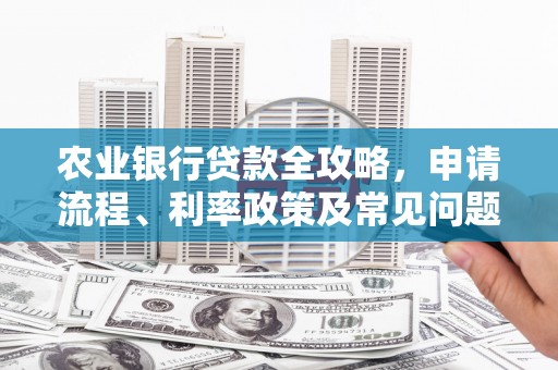 金台农业银行贷款全攻略，申请流程、利率政策及常见问题解析