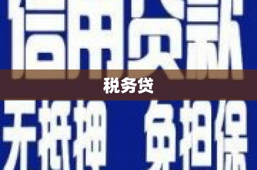 金台税务贷