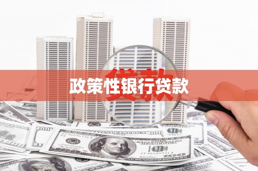 金台政策性银行贷款