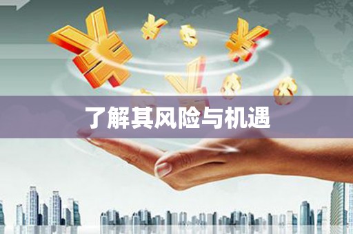 金台了解其风险与机遇