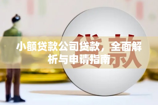 金台小额贷款公司贷款，全面解析与申请指南