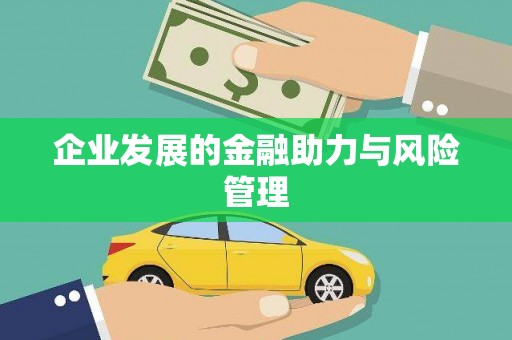 金台企业发展的金融助力与风险管理