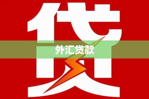 金台外汇贷款