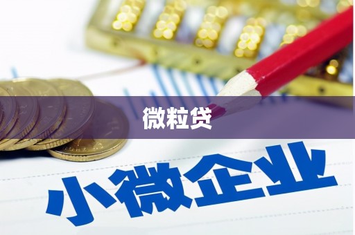 金台微粒贷