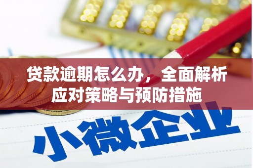 金台贷款逾期怎么办，全面解析应对策略与预防措施