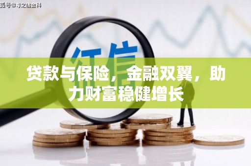 金台贷款与保险，金融双翼，助力财富稳健增长