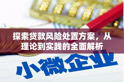 金台探索贷款风险处置方案，从理论到实践的全面解析