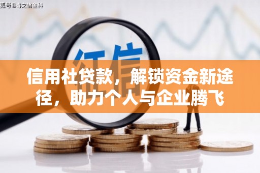 金台信用社贷款，解锁资金新途径，助力个人与企业腾飞