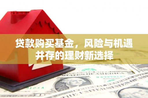 金台贷款购买基金，风险与机遇并存的理财新选择