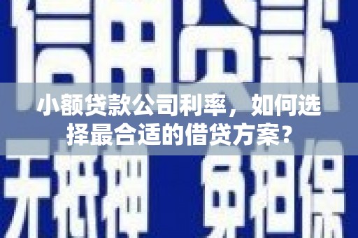 金台小额贷款公司利率，如何选择最合适的借贷方案？