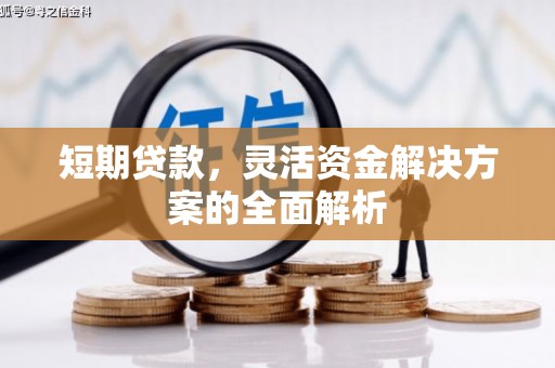 金台短期贷款，灵活资金解决方案的全面解析