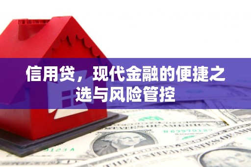 金台信用贷，现代金融的便捷之选与风险管控