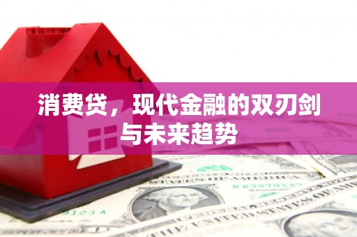 金台消费贷，现代金融的双刃剑与未来趋势