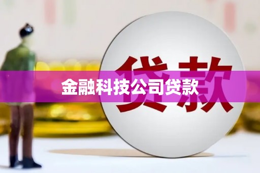 金台金融科技公司贷款