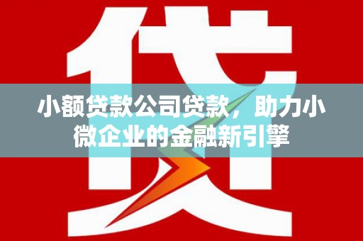 金台小额贷款公司贷款，助力小微企业的金融新引擎