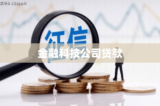 金台金融科技公司贷款