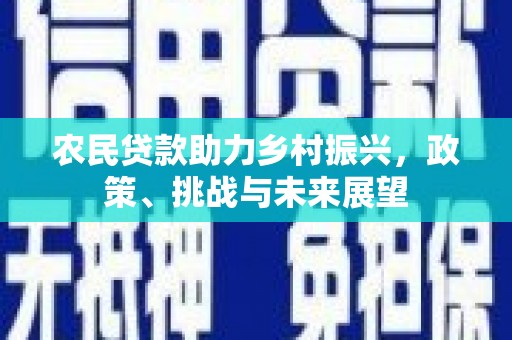 金台农民贷款助力乡村振兴，政策、挑战与未来展望