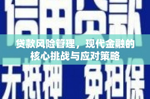 金台贷款风险管理，现代金融的核心挑战与应对策略