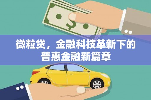金台微粒贷，金融科技革新下的普惠金融新篇章