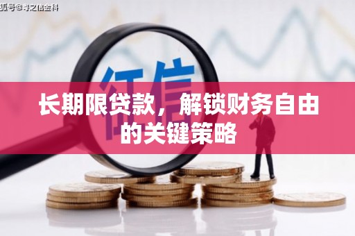 金台长期限贷款，解锁财务自由的关键策略