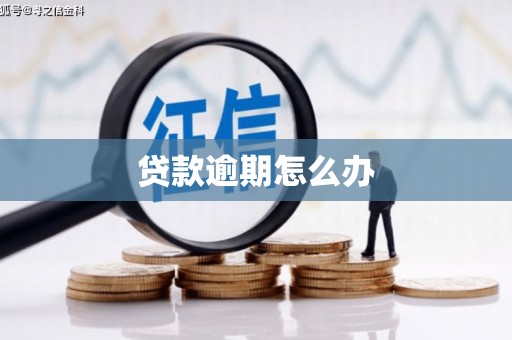 金台贷款逾期怎么办