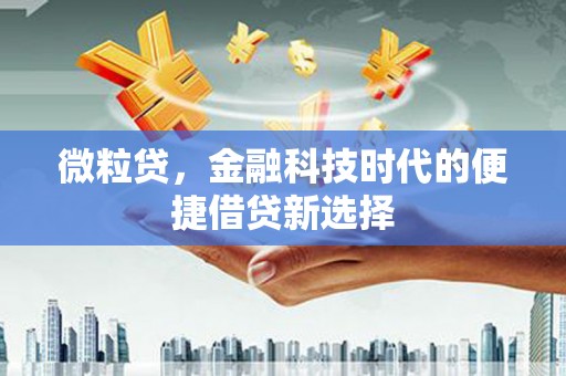 金台微粒贷，金融科技时代的便捷借贷新选择