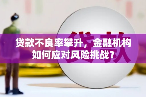 金台贷款不良率攀升，金融机构如何应对风险挑战？