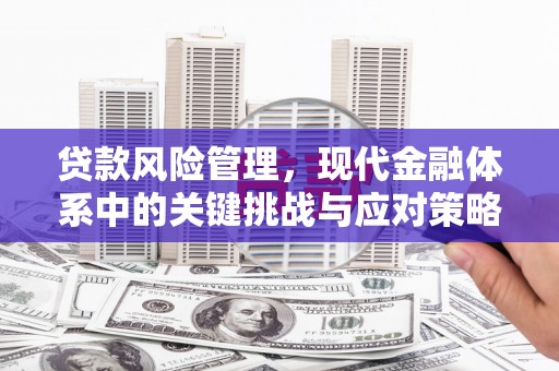 金台贷款风险管理，现代金融体系中的关键挑战与应对策略
