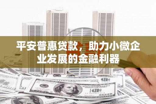 金台平安普惠贷款，助力小微企业发展的金融利器