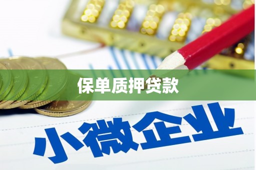 金台保单质押贷款