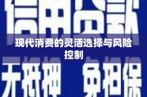 金台现代消费的灵活选择与风险控制