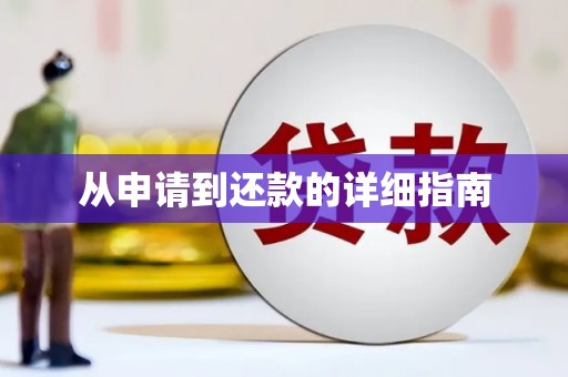 金台从申请到还款的详细指南