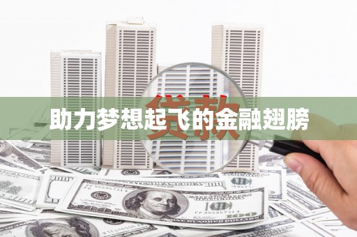 金台助力梦想起飞的金融翅膀