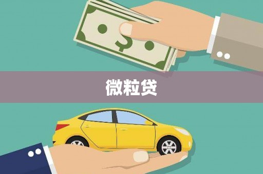 金台微粒贷