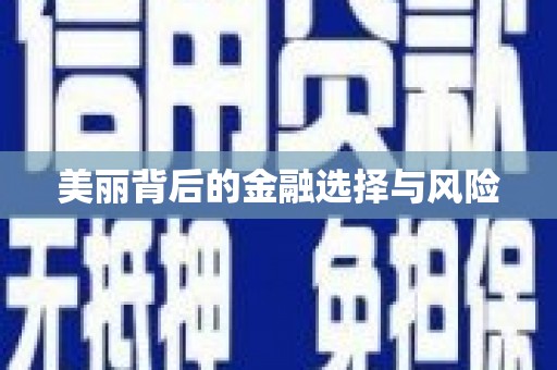 金台美丽背后的金融选择与风险