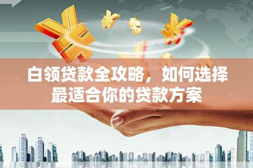 金台白领贷款全攻略，如何选择最适合你的贷款方案